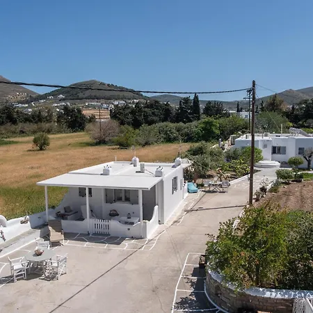 Bonzoe #5 פארוס