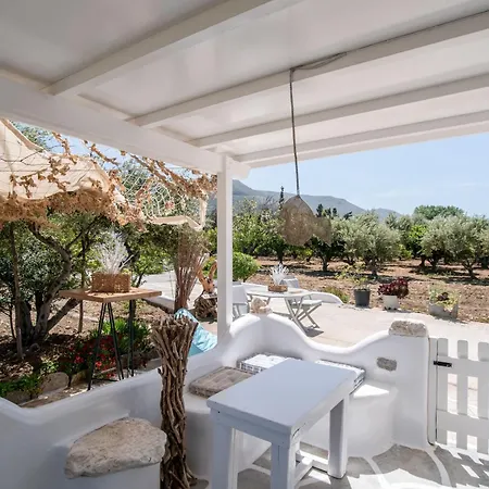 Bonzoe #5 פארוס