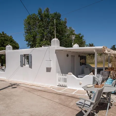 Bonzoe #5 פארוס